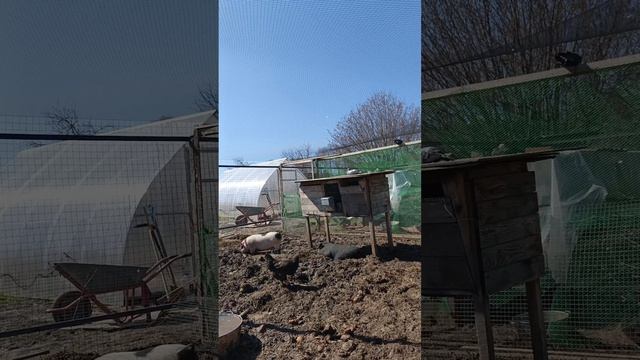 пришла весна