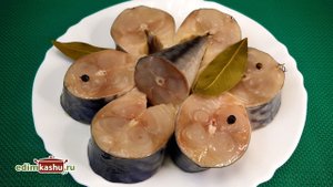 Как засолить скумбрию вкусно и просто. Скумбрия в горчичном рассоле