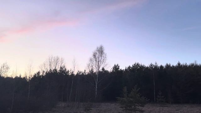 Весенняя охота на вечерней тяге 2022 смотреть онлайн