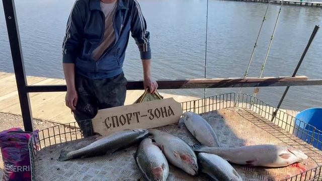 16-04-2025 смотреть онлайн