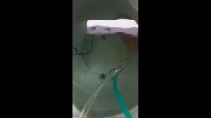 Дискусы из Апшеронска во Впадивосток. Часть третья.