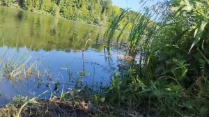 Получив на телефон видео где муж развлекается с любовницей. Жена была ошарашена