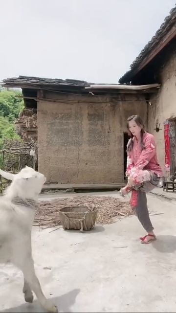 Húc dê #shorts смотреть онлайн