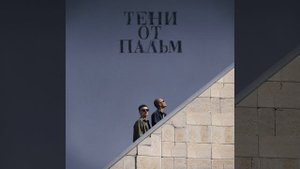 Тени от пальм