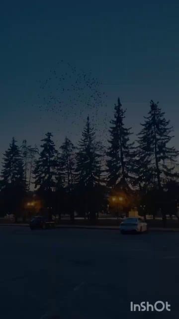 Весна в городе С...