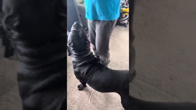 Находка милая смотреть онлайн