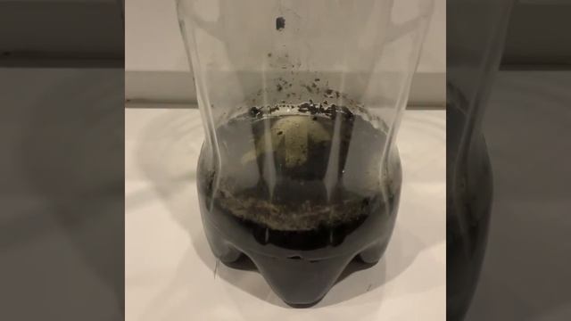 Чудо природы смотреть онлайн