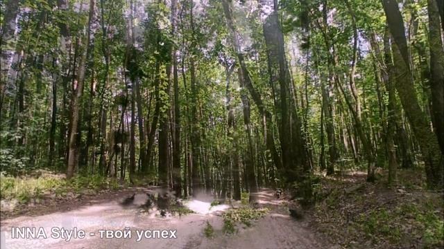 Эффект пения лесных птиц смотреть онлайн