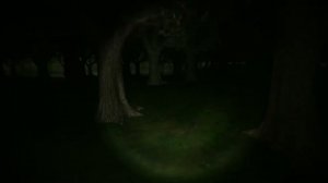 Шрек но хоррор(Swamp Sim)\\Хоррор\\Нарезка