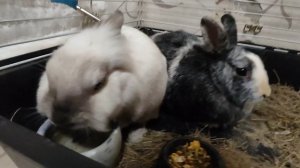 Сначала попить перед едой, вы тоже так делаете???