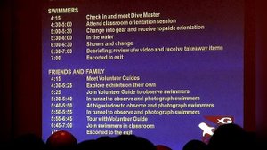 Journey with gentle giants
Georgia aquarium