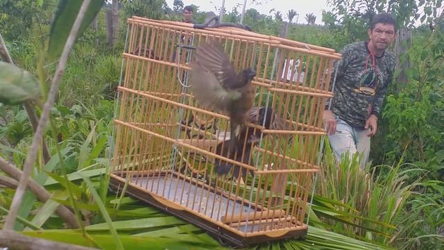 curió Wolverine temporada 2022 смотреть онлайн