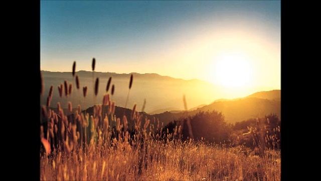 Dima Deepmix & Max Grabke Sapovnela Studio Melanholia Cut #1. смотреть онлайн