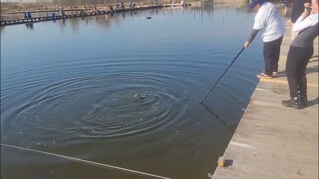 16-04-2025 смотреть онлайн