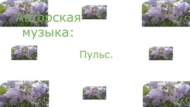 Авторская музыка: Пульс.
