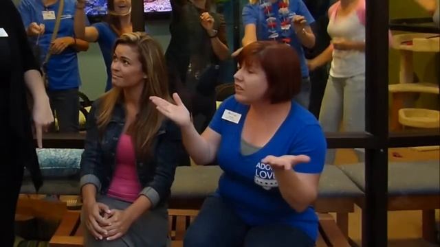 "Happy" Guest Experience - SDHS смотреть онлайн