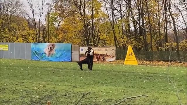 Амба, С- 89 смотреть онлайн