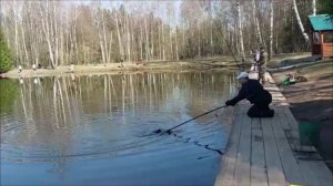 Обзор с нижнего водоёма. Клёвое место, Лосиный остров.