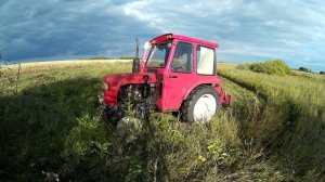 Осенний сенокос? Кошу траву отаву в сентябре. Что выросло, то и будет.