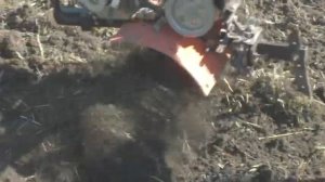 Перепахивание в огороде и поздняя посадка картофеля.