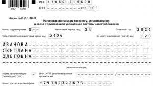Как заполнить декларацию ИП УСН за 2024 год