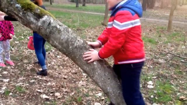 ВЛОГ: офигенная капуста*покупки* в парке* смотреть онлайн