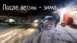 Забой красивых петухов. Зима в апреле. Новости московского ремонта