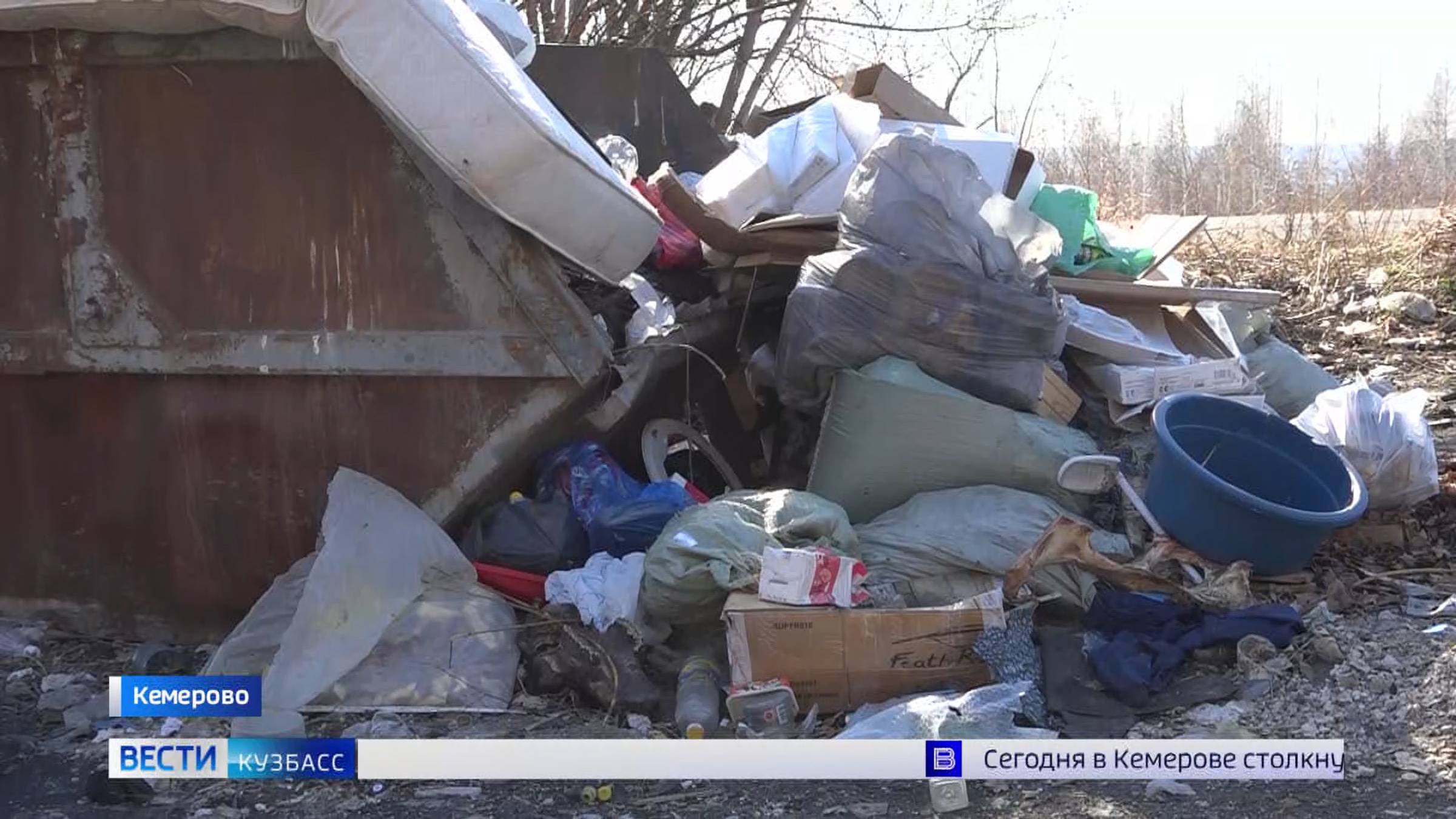 Одна свалка в радиусе километра: жители Борового недовольны отсутствием мусорных контейнеров