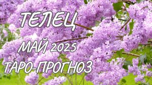 Телец ♉ Таро-прогноз на май 2025 года