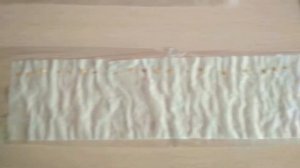 Проращиваем семена в туалетной бумаге . Первый опыт