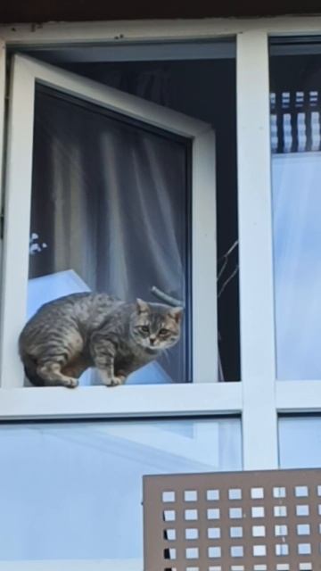 Запахло весной, пушистик и!