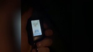 Почему горит синяя лампа, сигнализация старлайн A93