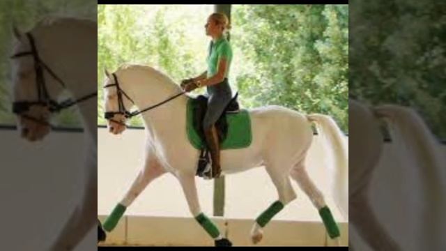 #комплект Какой бы вы цвет выбрали? смотреть онлайн