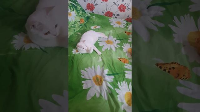 Любит трубочки с детства!