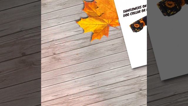 DesignsbyCristal.etsy.com смотреть онлайн