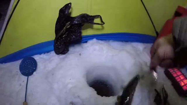 Зимняя рыбалка / НАЛИМ  / часть 2 / Winter fishing / BURBOT / part 2HD 2019