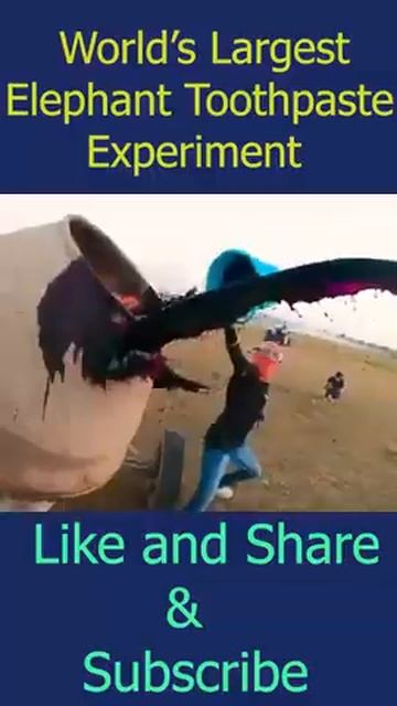 world's biggest elephant toothpaste experiment#shorts смотреть онлайн