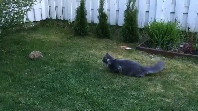 Охота смотреть онлайн