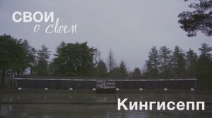 СВОи о своём | Кингисепп | Алексей Ярославцев