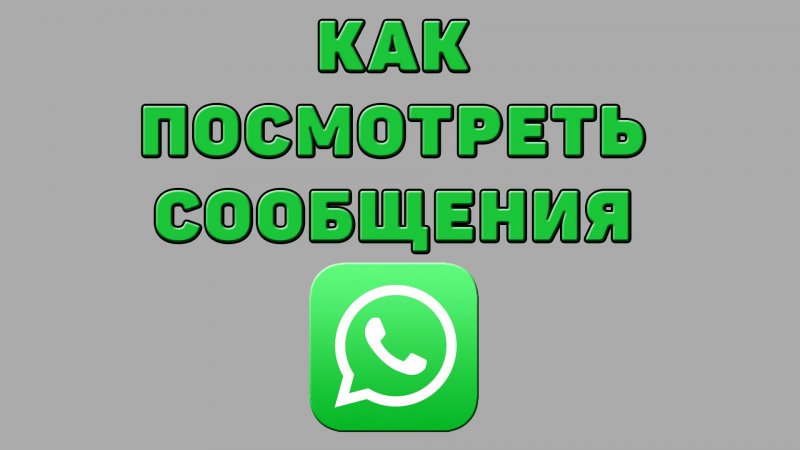 Как посмотреть сообщения в Ватсапе