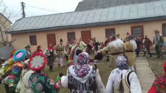 калу острица 2022🎉 смотреть онлайн