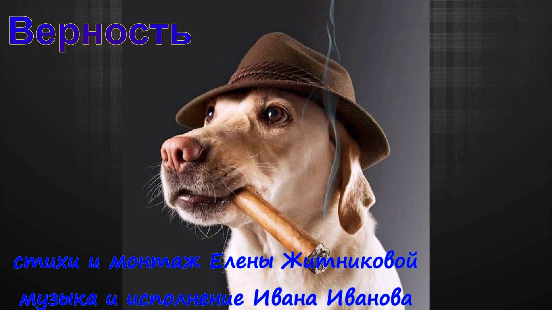 Верность стихи и монтаж Елены Житниковой музыка и исполнение Ивана Иванова