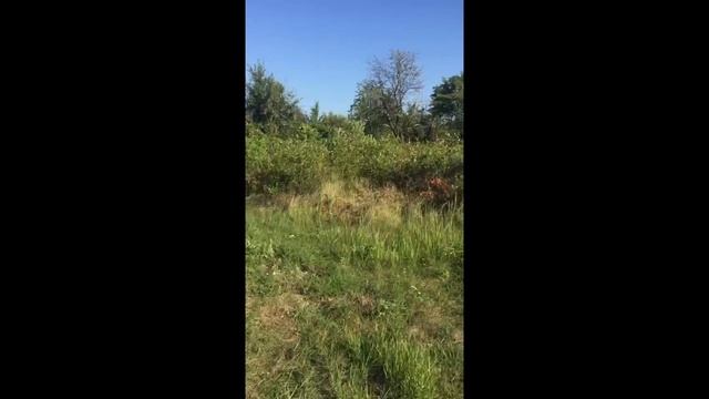 Дача обзор