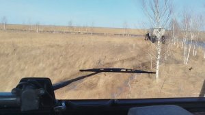 Вездеход на шинах MAMONT