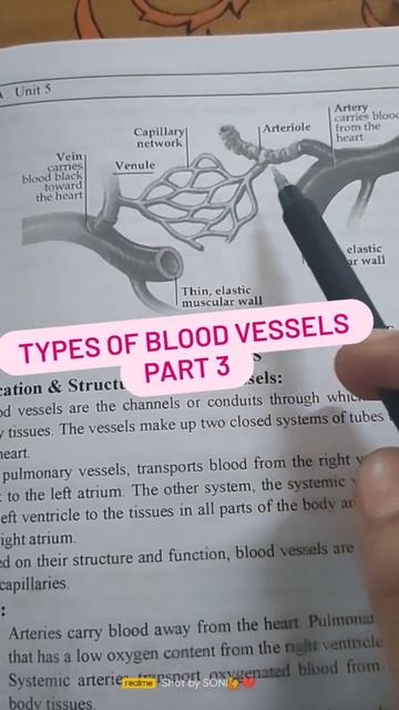 types of blood vessels part 3 #shortvideo #youtubeshorts #ytshorts смотреть онлайн