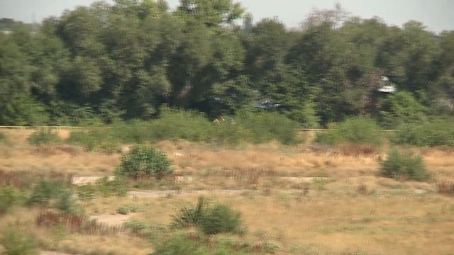 Алматинский Ипподром, 13.08.22, Qazaqstan Tulpary, скачка №1 смотреть онлайн