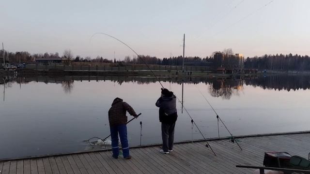 Поимка смотреть онлайн