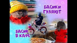 БАСИКИ ГУЛЯЮТ | Басики на прогулке | Прогулка с Басиками | Басик в кафе | Игра с Басиками #котбасик