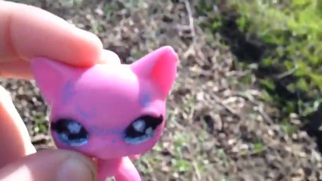 LPS: ПОЕХАЛИ В СЕЛО СТРЮКОВО В УКРАИНЕ, 3 ДНЯ