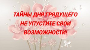 РЕКОМЕНДАЦИИ НА ДЕНЬ. СОВЕТ ОТ КАРТ